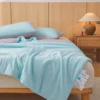 S248bd5c4ec2f416880e04e03b0ef134bG.webp 1pc Cooling Summer Quilt,Blue Grey AB Side Cool Feeling Comforter.Smooth,Skin-friendly Blanket Home Kids Adult Bedding 150*200cm