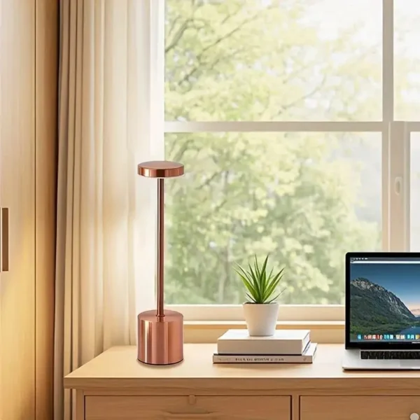 S5d890c21fb5a4e03ae7f624264546a92N.webp Office Decorative Lamp with Metal Brushed Texture USB Convenient Desk Lamp Suitable for Bedrooms Dining Rooms Living Rooms